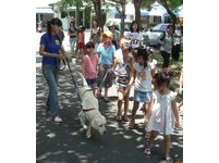 與狗狗的周末約會　小小犬隻訓練師營暑假開課