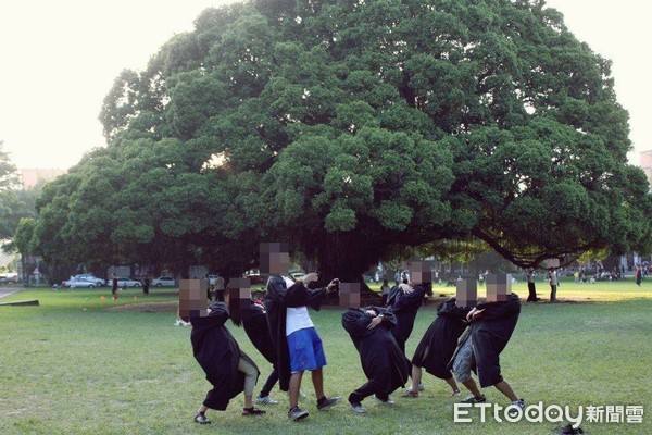 ▲成大學生在校內百年老榕樹前合照。（圖／本網資料照片）
