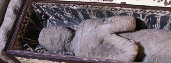 德男童探索祖母家 打开阁楼的木棺…竟有具埃及木乃伊