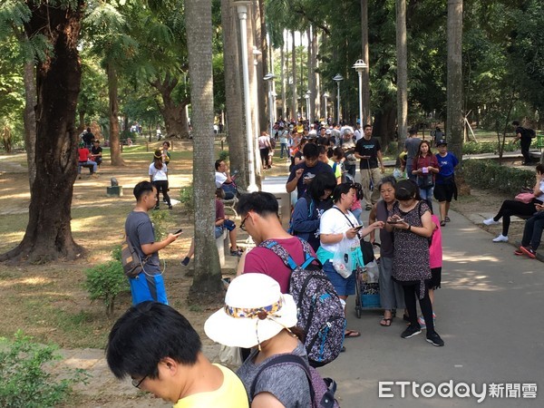 ▲大量寶可夢玩家湧入台南市區台南公園等30個驚喜景點，到處都是抓寶玩家，低頭全力收伏寶可夢。（圖／記者林悅攝，下同）