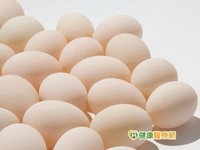蛋正常吃！　不怕膽固醇過高