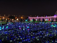 板橋夜晚免費約會新景點！浪漫蝴蝶花海光雕展延長至6月