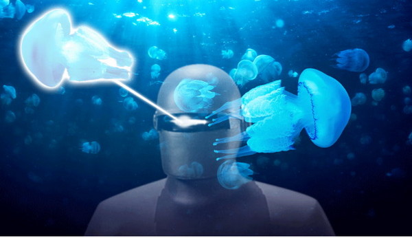 千刀万里追 韩发明「水母杀手」机器人 一小时