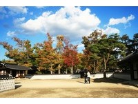 隱藏版賞楓地點　韓宮殿、教堂時空交錯好浪漫！