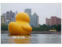 港都光榮碼頭　黃色巨鴨來襲