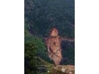 浙江村民吃了一人高的大魚　山體滑坡剛好激似魚形？