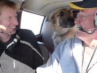 找到飛行的好理由！　熱血飛行員載狗狗飛向新家