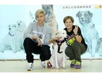 羅志祥肉搏救狗滿手血　羅媽媽40年照顧300隻流浪犬