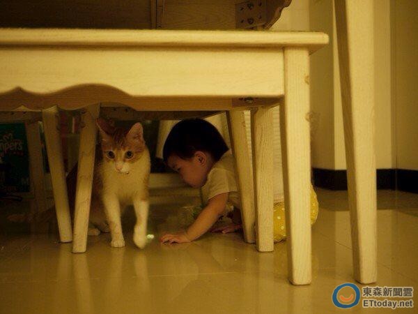 東森山林渡假酒店,ETtoday東森新聞雲,毛孩子,貓,狗,寵物,