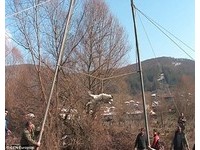 保加利亞古怪防狂犬病儀式　高空虐狗遭抗議！《ETtoday 新聞雲》