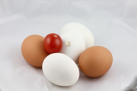d51409 「食物守宮砂」貼片　1秒確認雞蛋有無變質《ETtoday 新聞雲》