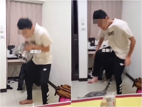 ▲▼台中男大生虐貓!被哈氣「重摔後猛踩」朋友狂笑…20秒影片讓網氣炸。(圖/翻攝貓咪也瘋狂俱樂部) 台中男大生虐貓!被哈氣「重摔後猛踩」朋友狂笑…20秒影片網氣炸