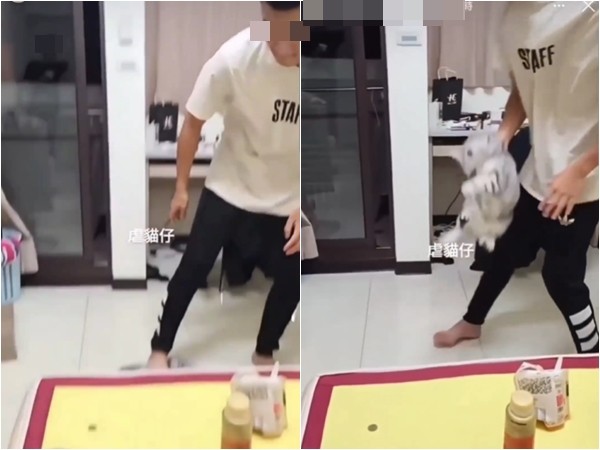 ▲▼台中男大生虐貓!被哈氣「重摔後猛踩」朋友狂笑…20秒影片讓網氣炸。(圖/翻攝貓咪也瘋狂俱樂部) 台中男大生虐貓!被哈氣「重摔後猛踩」朋友狂笑…20秒影片網氣炸