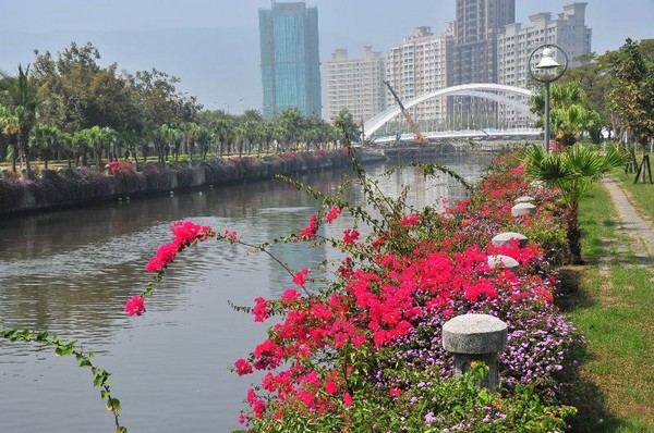 炮仗花开满幸福川河岸 高雄市区赏花新景点