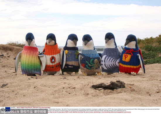 你是编织好手吗? 企鹅:请织毛衣给我穿! | ETto