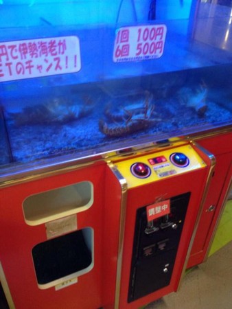 日本「抓龙虾机」好惨忍,它会死搭~ | 键盘大柠