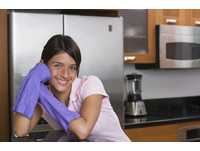 廚房抹布只用清水洗　放48小時細菌量暴增6.3億