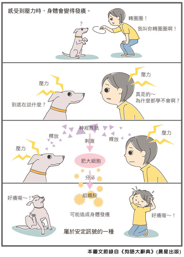 狗,搔癢,壓力,狗語大辭典,晨星出版