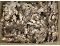 憨直薑農李世安　寧願先出貨要買家「滿意再匯款」《ETtoday 新聞雲》