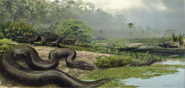 d61618 史前7大巨型動物　白堊紀「魔鬼蛙」能吞食幼恐龍！《ETtoday 新聞雲》
