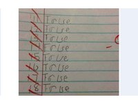 考卷是非題寫「True、False」混合版　網友笑虧：天才