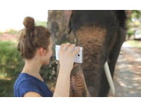 「大象的手機」三星Galaxy Note！長鼻子控螢幕超靈敏《ETtoday 新聞雲》