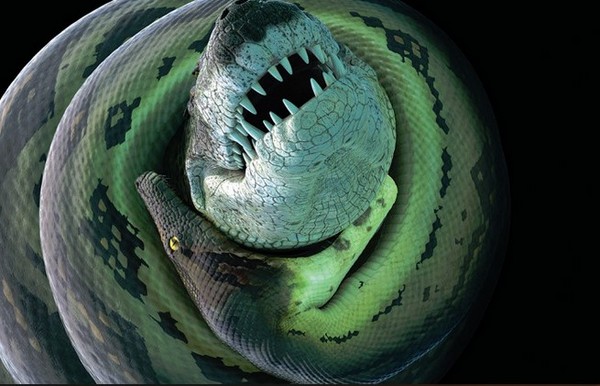 史前巨鳄!400公斤远古「炎魔」吃巨龟战巨蟒 