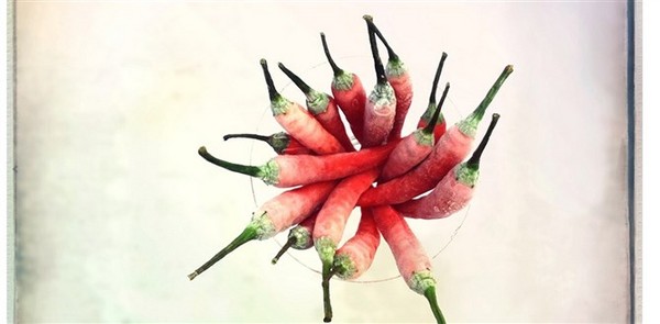 app01\/2104年iPhone摄影竞赛遴选,台湾作品获