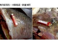 又見網友po「龍王鯛」分屍照！　還說肉質超優