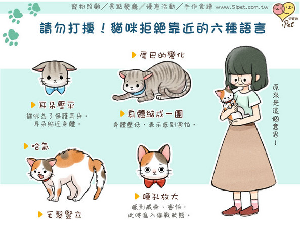 ipet爱宠物/请勿打扰!猫咪拒绝靠近的六种语言