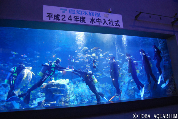 d66384 日本水族館「水中入社式」　穿西裝潛水領任用書《ETtoday 新聞雲》