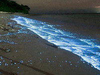 藍眼淚海灘網路瘋傳　馬爾地夫美景謊稱澎湖《ETtoday 新聞雲》