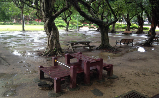 廣慈公園內每逢大雨必積水。（圖／王鴻薇研究室提供，截自東森新聞雲）  