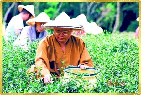 圣轮法师涉猥亵女义工 比丘尼拍摄旁观