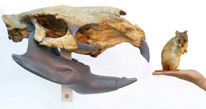 d80963 史前7大巨型動物　白堊紀「魔鬼蛙」能吞食幼恐龍！《ETtoday 新聞雲》