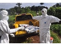 伊波拉疫情再爆發！外交部提升獅子山旅遊警示為「紅色」