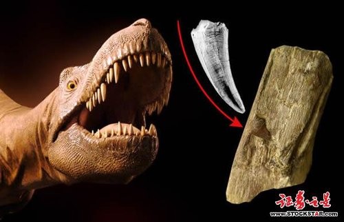 d81069 肋骨嵌入牙齒　遼寧發現肉食恐龍捕殺獵物證據《ETtoday 新聞雲》