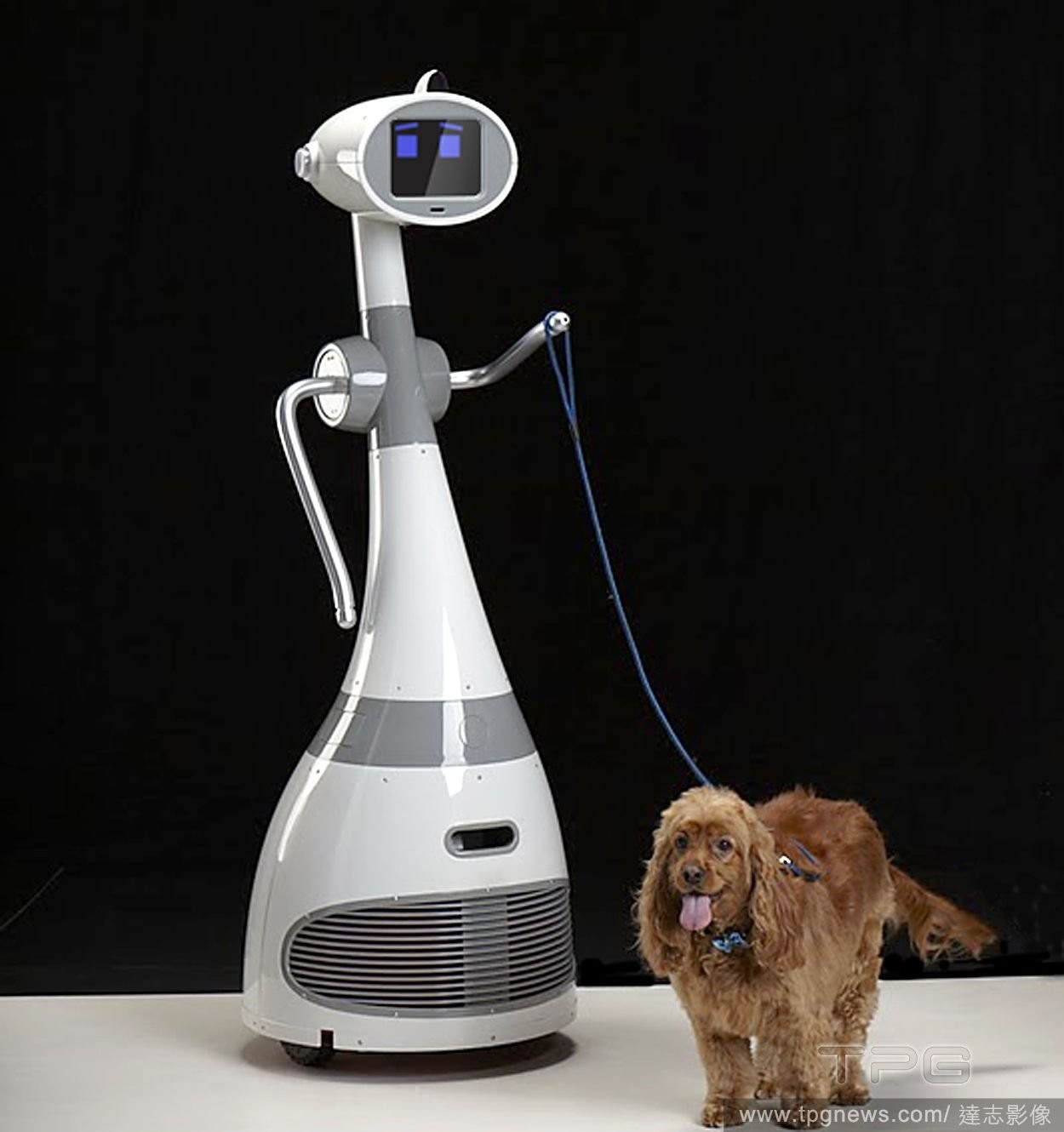 号称世上首款个人家用机器人 可以帮你遛狗