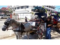 泰國唯一馬車代步的城市！必訪南邦大城的緬甸風情