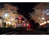 穿越200公尺櫻花隧道　日本5處夢幻般美麗「賞櫻列車」