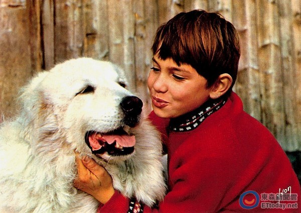 大白熊犬可爱度破表!《灵犬雪丽》小主人翁克