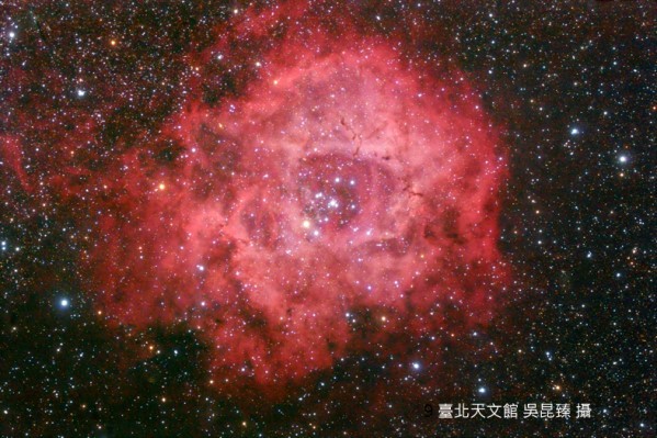 宇宙最大朵的玫瑰花,位在麒麟座的「玫瑰星云(ngc 2237.