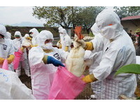 首例！廣西女染H5N6命危　疾管署提升旅遊建議至警示