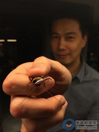 ella乐拍老公徒手抓蟑螂照放闪… 粉丝吓到全崩溃!