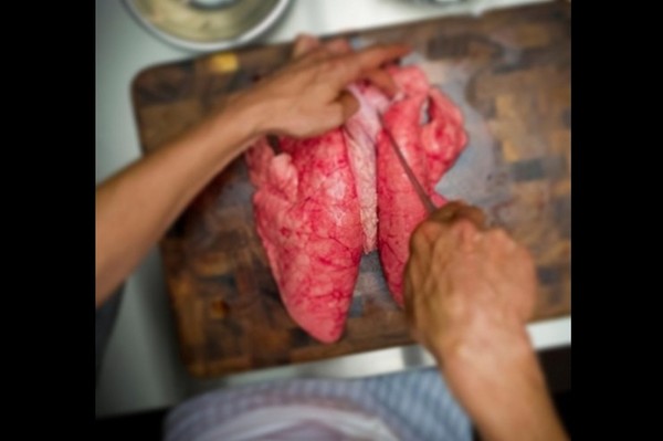 人肉烹饪图片