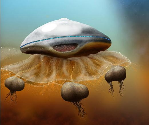 科学家:外星人很可能存在 外型像巨型水母!