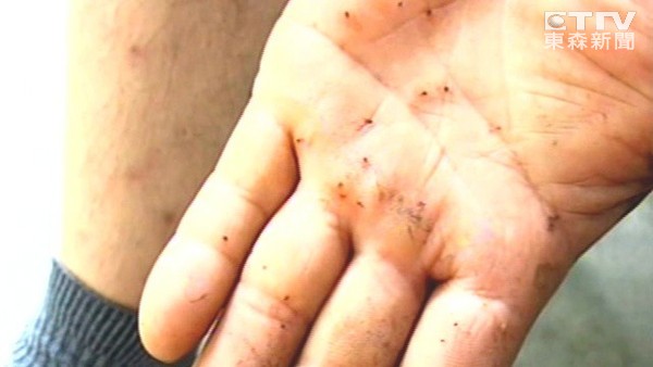 11点-15点是咬人高峰! 防治小黑蚊有五要诀