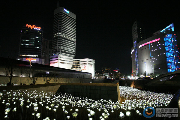 2萬朵發光玫瑰花海點綴東大門夜景 情侶來這裡保證ok