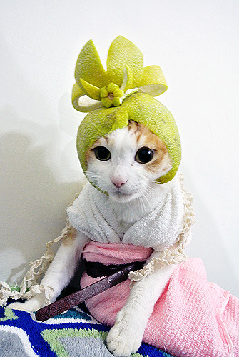 娇媚「嫦娥柚子帽」 你也可以动手做!