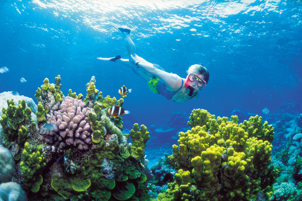 科學家警告，美麗的大堡礁珊瑚覆蓋率，未來十年內可能只剩一半！(圖／達志影像／美聯社)